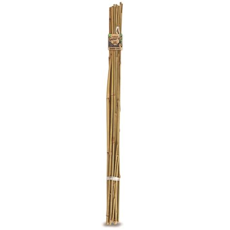 bamboo stakes bunnings|Barriers to protect garden plants from chickens.
